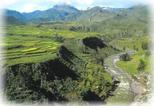 Peru - Valle del Colca
